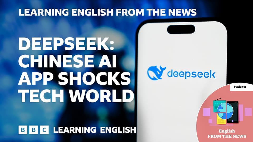 DeepSeek：让市场恐慌的AI应用