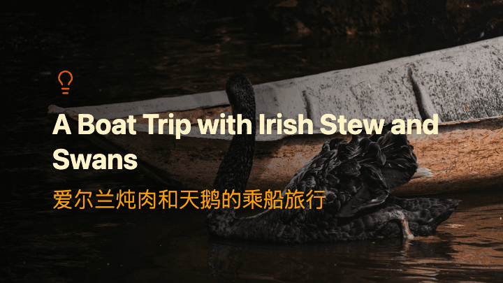 爱尔兰炖肉和天鹅的乘船旅行