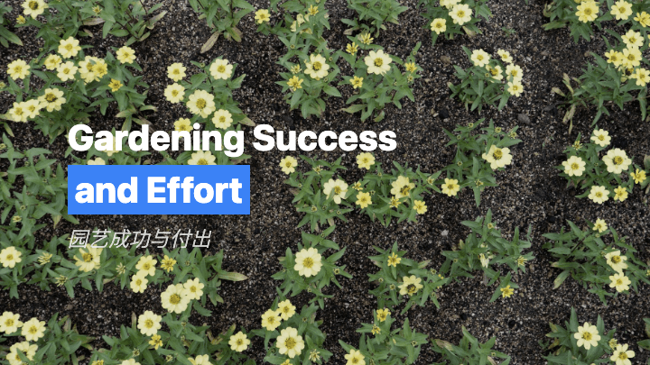 园艺成功与付出