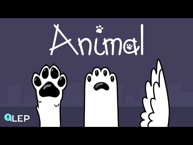 宠物与动物伦理访谈