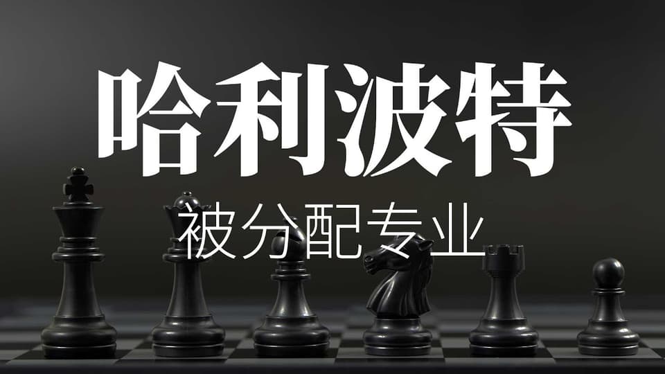 哈利的分院帽体验