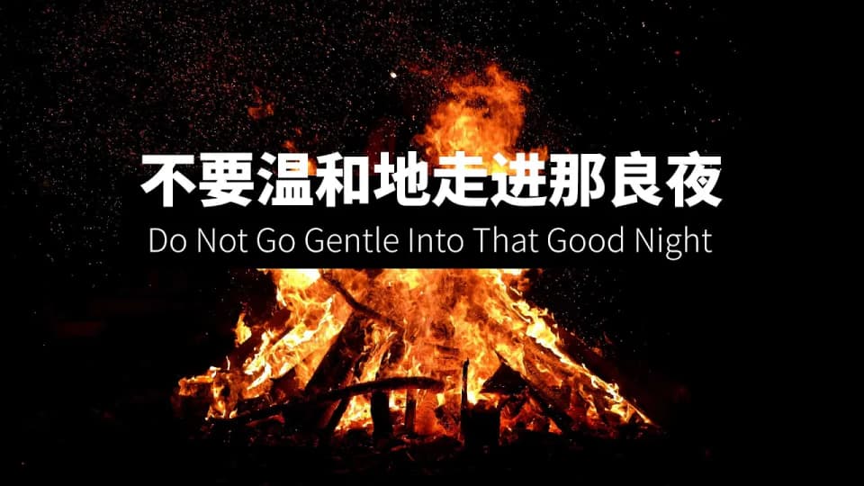 反抗死亡的怒火