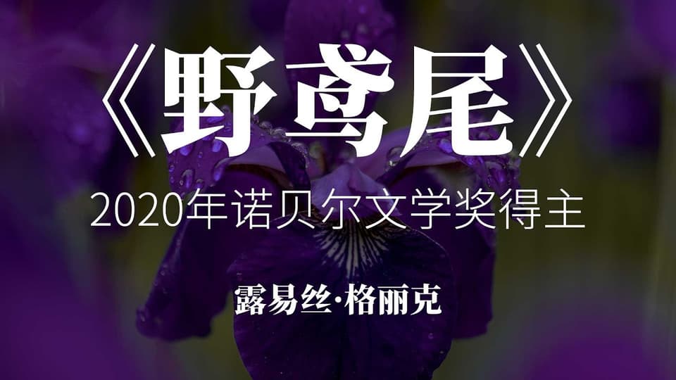 在黑暗中幸存的意识